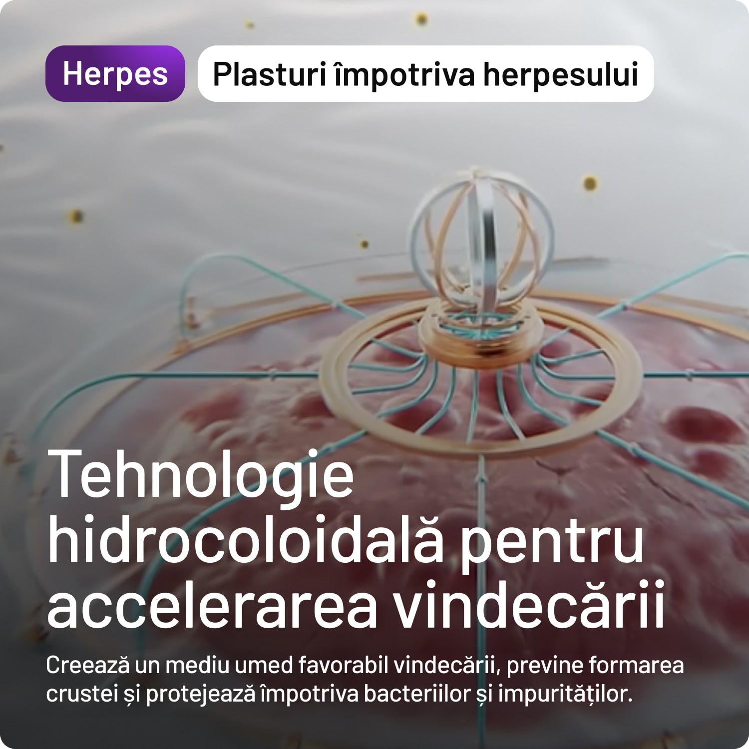 Plasture Anti-Herpes Compeed, pentru zi, 15 buc